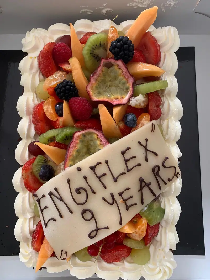 EngiFlex anniversary celebration